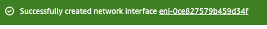 Successful AWS Network Interface Creation