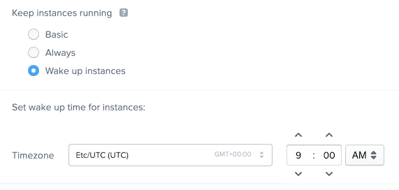 Persistent Desktop Wake Up Instances