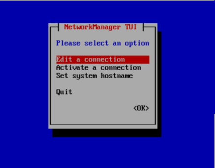 SGA VM - Network Manager